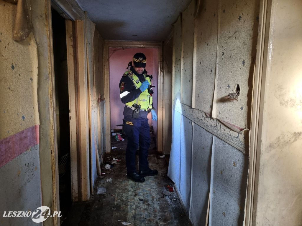 Straż Miejska w Lesznie patroluje pustostany