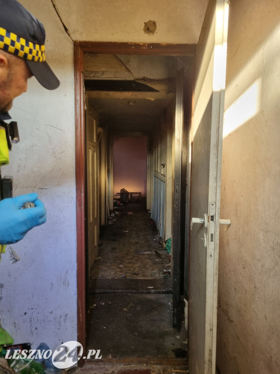 Straż Miejska w Lesznie patroluje pustostany