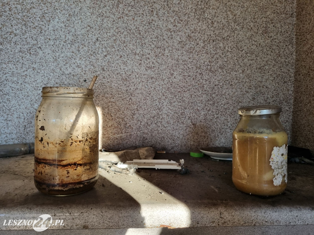 Straż Miejska w Lesznie patroluje pustostany