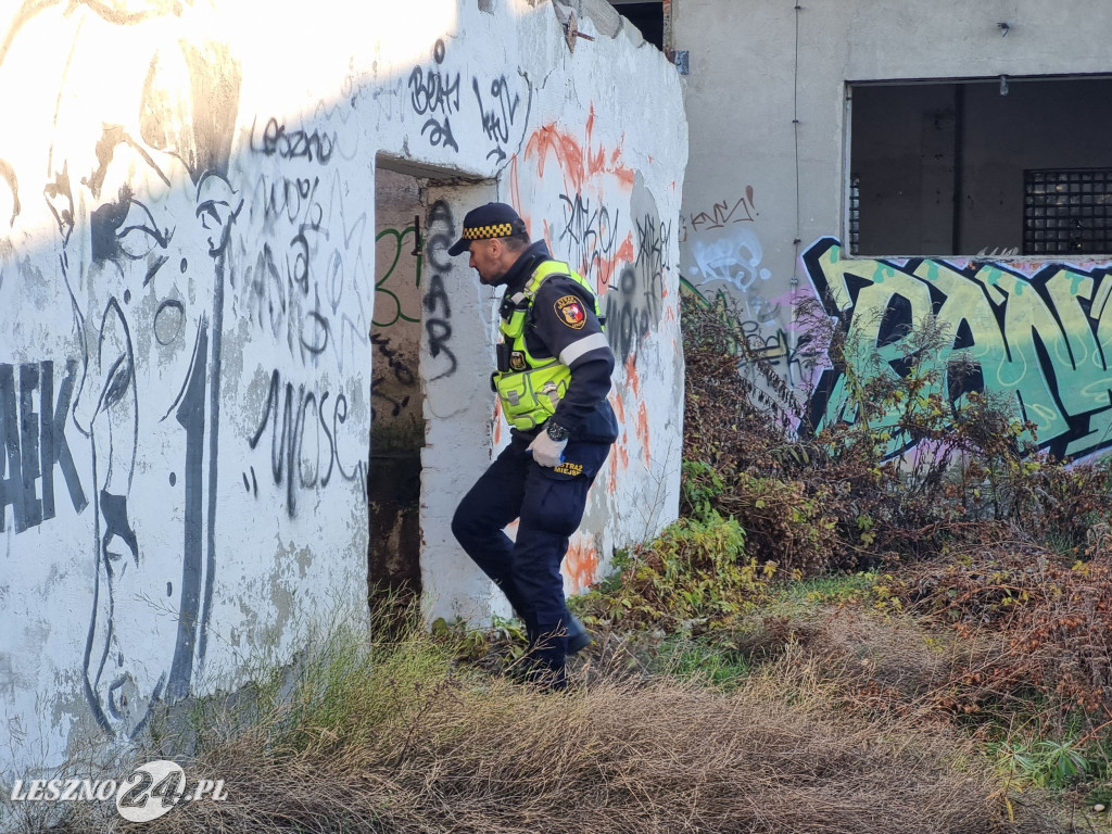 Straż Miejska w Lesznie patroluje pustostany