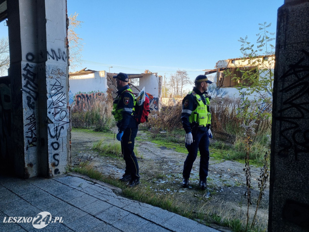 Straż Miejska w Lesznie patroluje pustostany