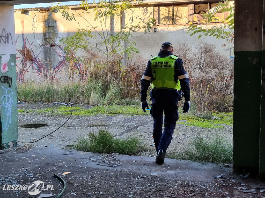 Straż Miejska w Lesznie patroluje pustostany