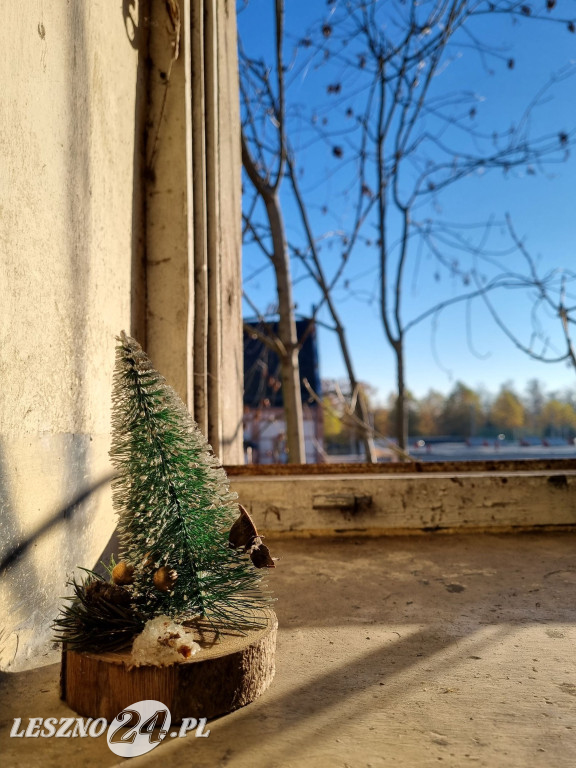 Straż Miejska w Lesznie patroluje pustostany