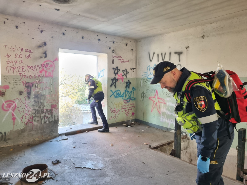 Straż Miejska w Lesznie patroluje pustostany