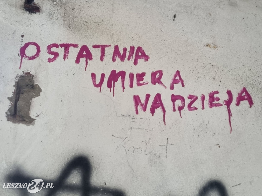 Straż Miejska w Lesznie patroluje pustostany