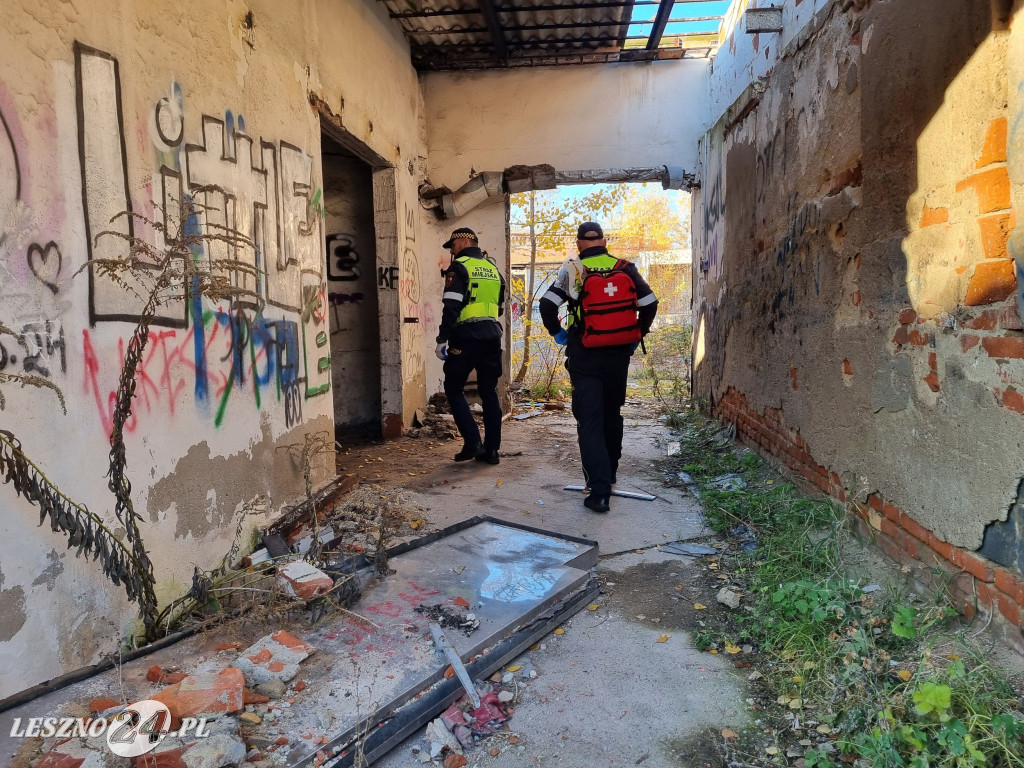 Straż Miejska w Lesznie patroluje pustostany