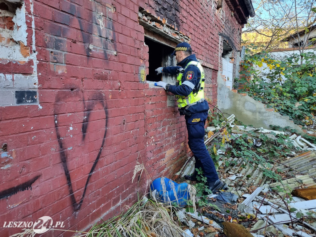 Straż Miejska w Lesznie patroluje pustostany