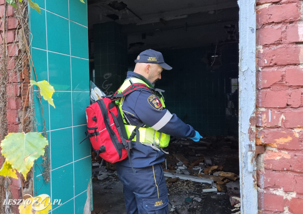 Straż Miejska w Lesznie patroluje pustostany