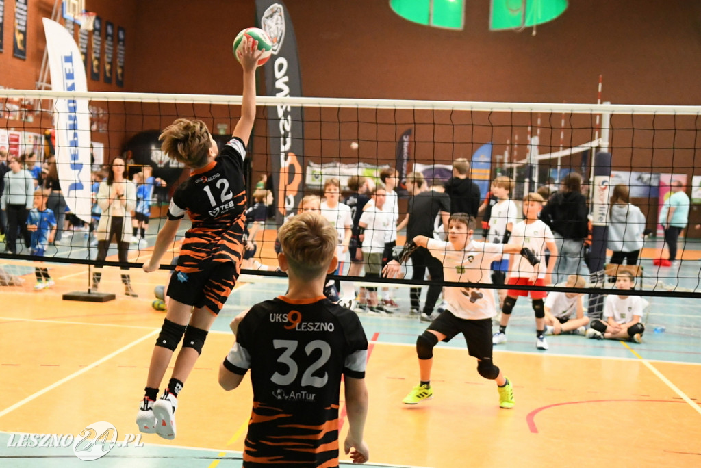 Kolejne siatkarskie emocje na Zatorzu