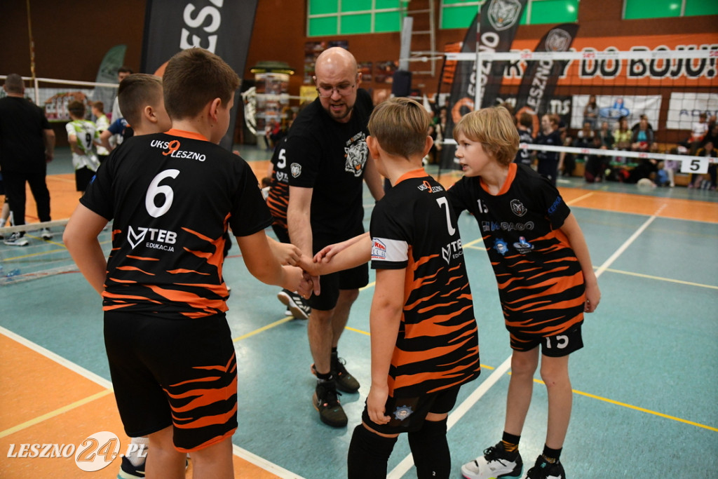 Kolejne siatkarskie emocje na Zatorzu