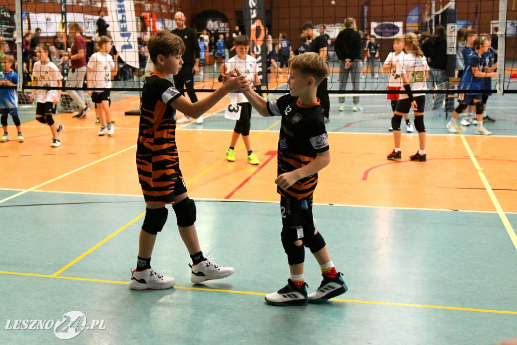 Kolejne siatkarskie emocje na Zatorzu