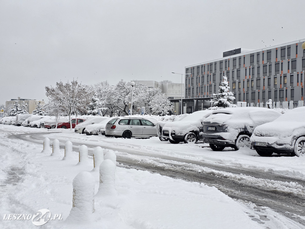 Zima w Lesznie, 26 listopad 2025