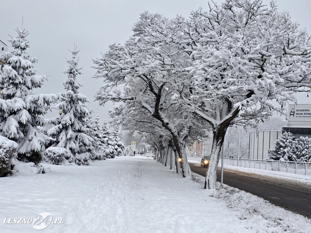 Zima w Lesznie, 26 listopad 2025