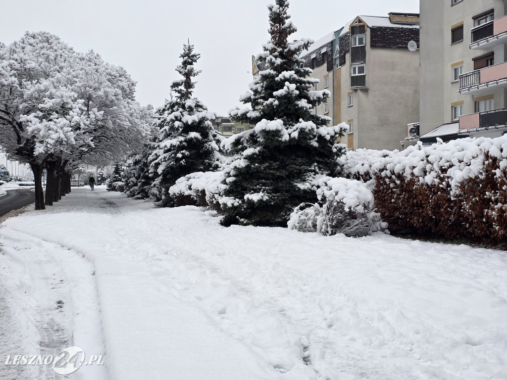 Zima w Lesznie, 26 listopad 2025