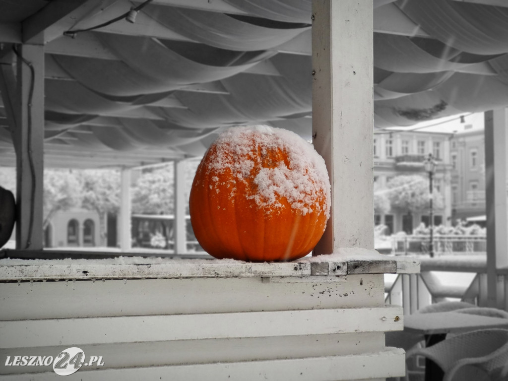 Zima w Lesznie, 26 listopada 2025