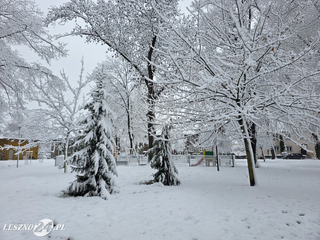 Zima w Lesznie, 26 listopada 2025