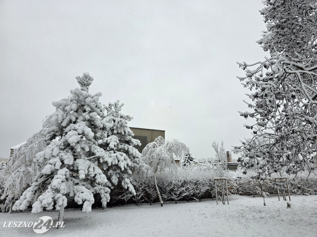 Zima w Lesznie, 26 listopada 2025