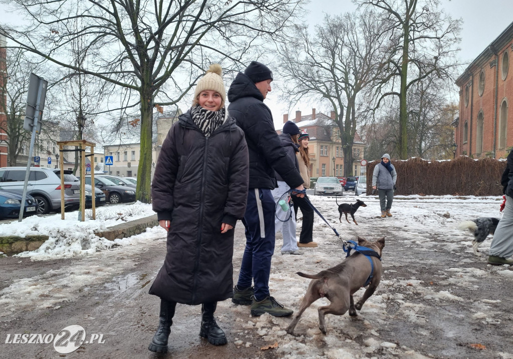 I Leszczyński Marsz Piesków