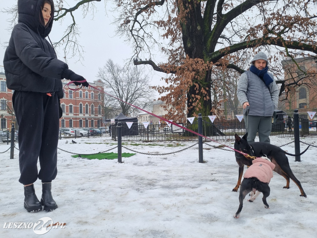 I Leszczyński Marsz Piesków