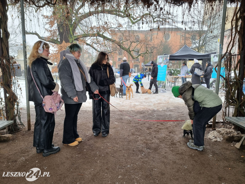 I Leszczyński Marsz Piesków