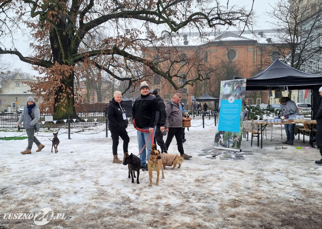 I Leszczyński Marsz Piesków