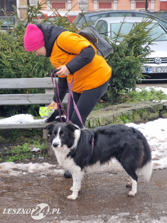 I Leszczyński Marsz Piesków