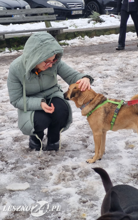 I Leszczyński Marsz Piesków