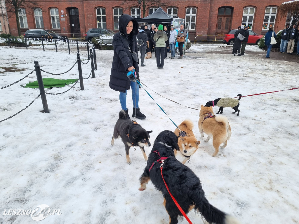 I Leszczyński Marsz Piesków