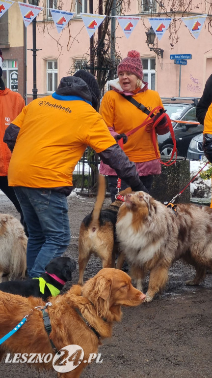 I Leszczyński Marsz Piesków