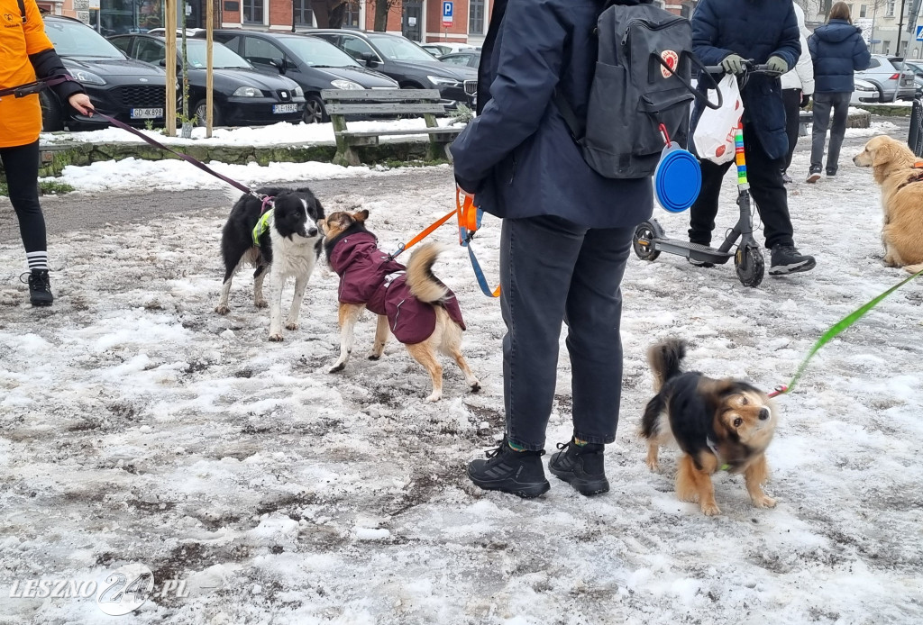 I Leszczyński Marsz Piesków