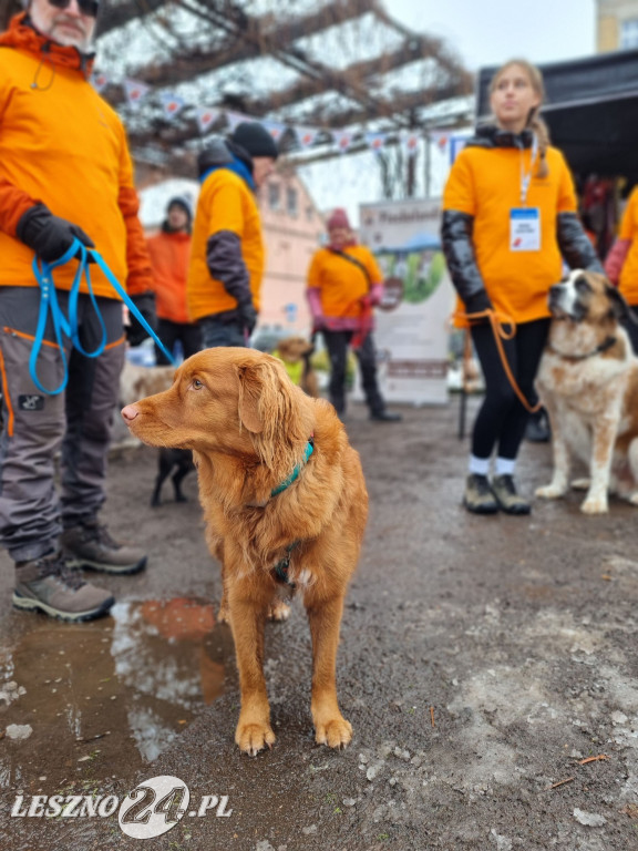 I Leszczyński Marsz Piesków