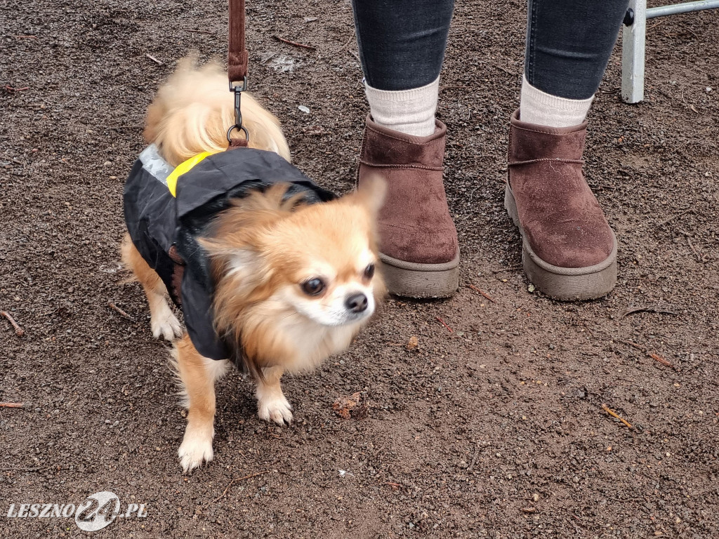 I Leszczyński Marsz Piesków