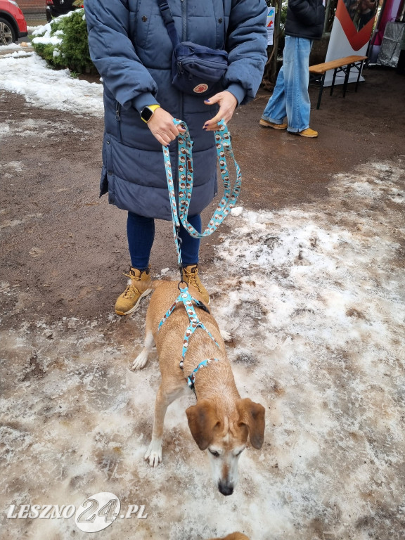 I Leszczyński Marsz Piesków