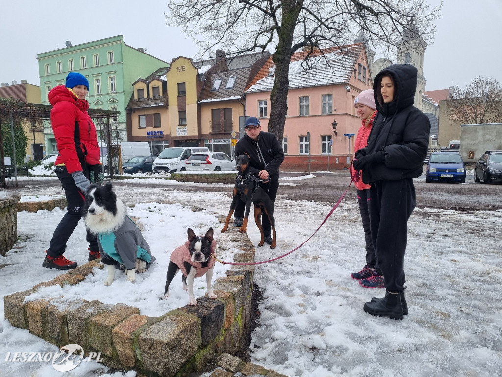 I Leszczyński Marsz Piesków