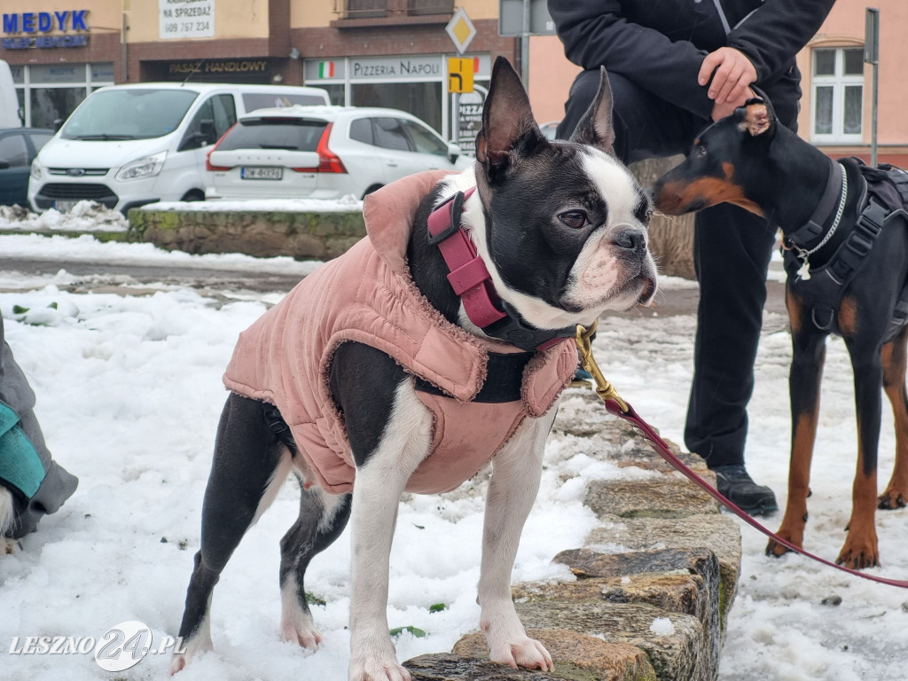 I Leszczyński Marsz Piesków