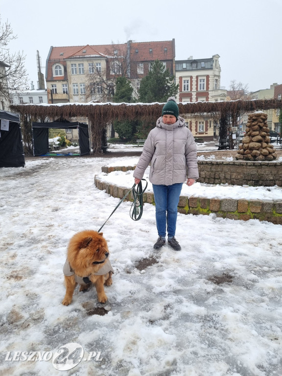 I Leszczyński Marsz Piesków