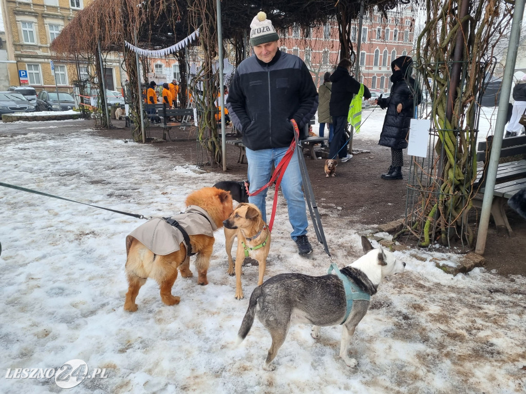I Leszczyński Marsz Piesków