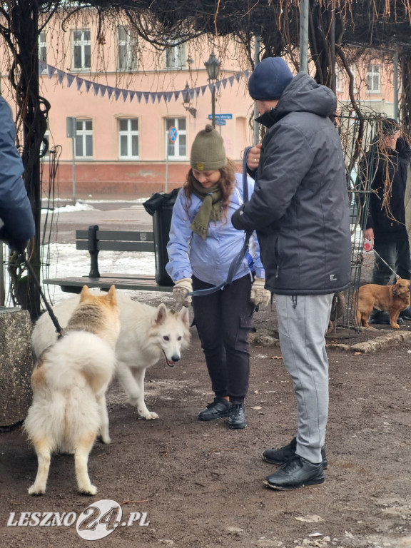 I Leszczyński Marsz Piesków