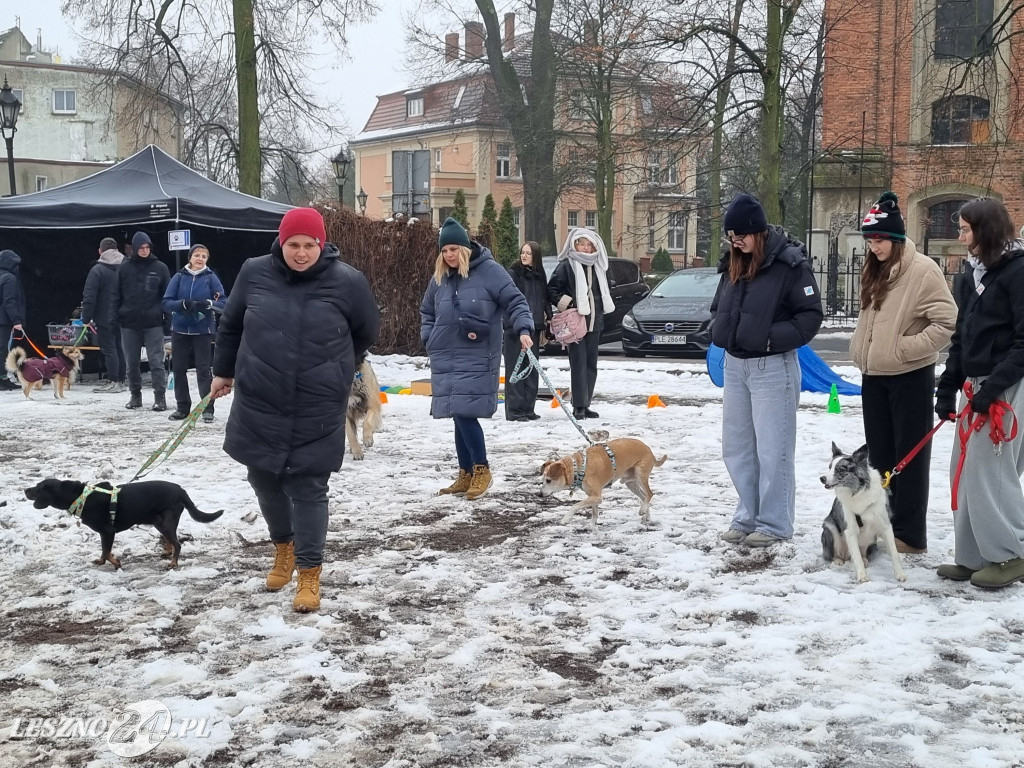 I Leszczyński Marsz Piesków