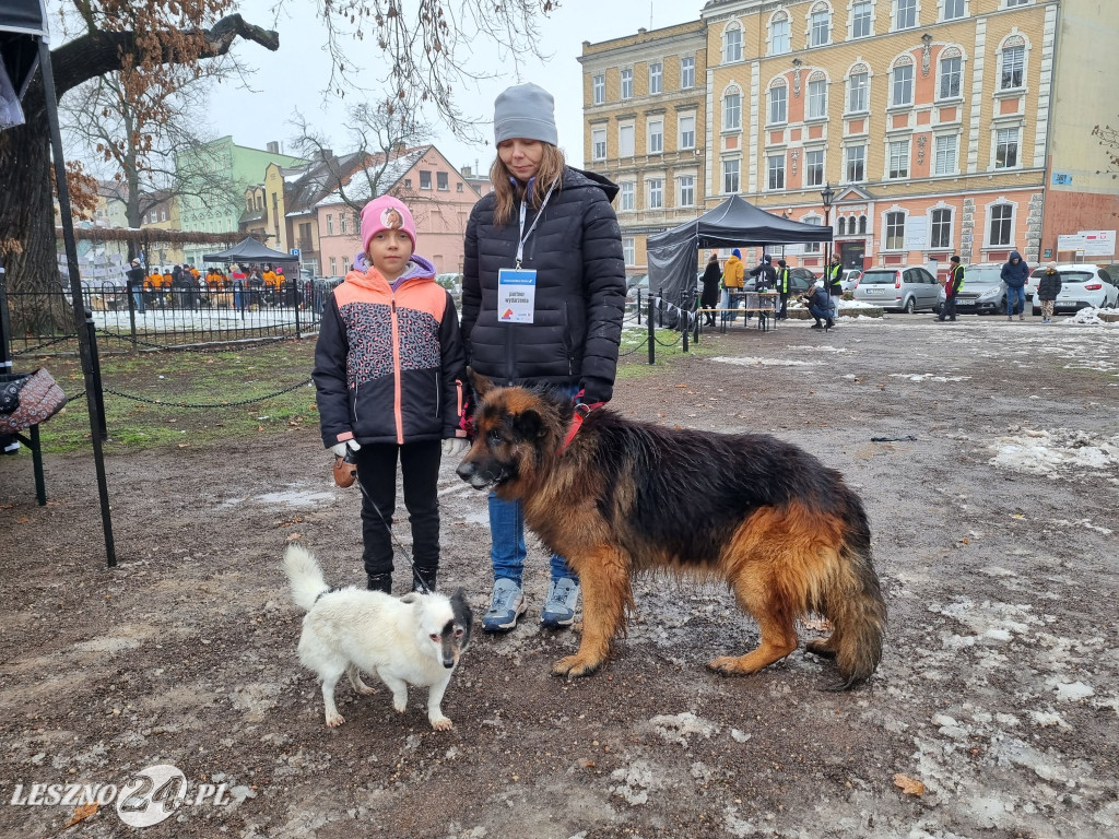 I Leszczyński Marsz Piesków