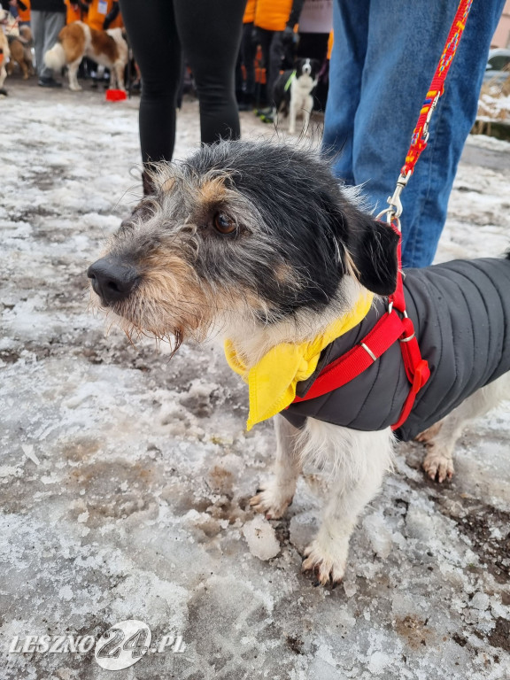 I Leszczyński Marsz Piesków