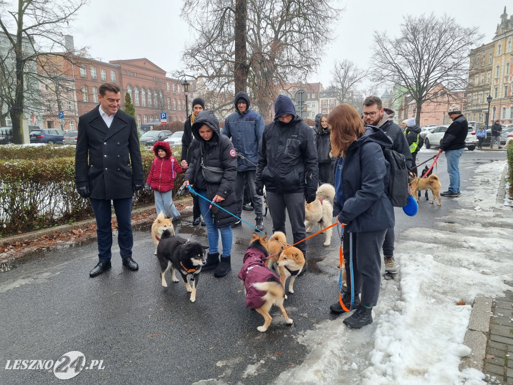 I Leszczyński Marsz Piesków