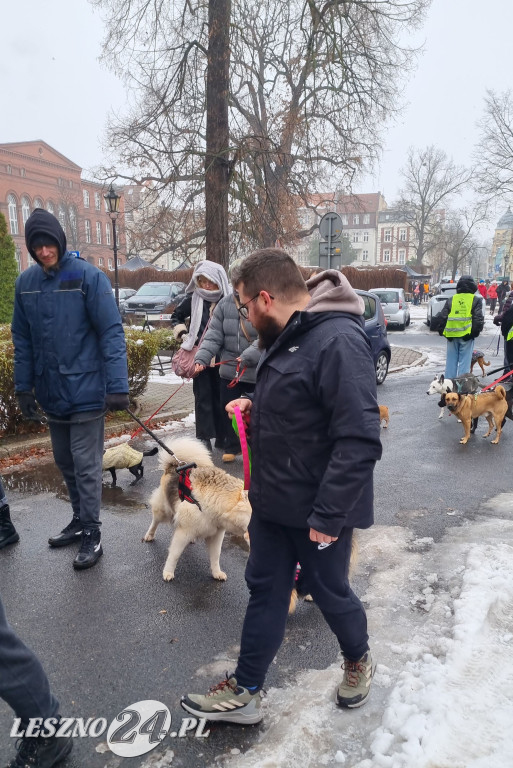 I Leszczyński Marsz Piesków