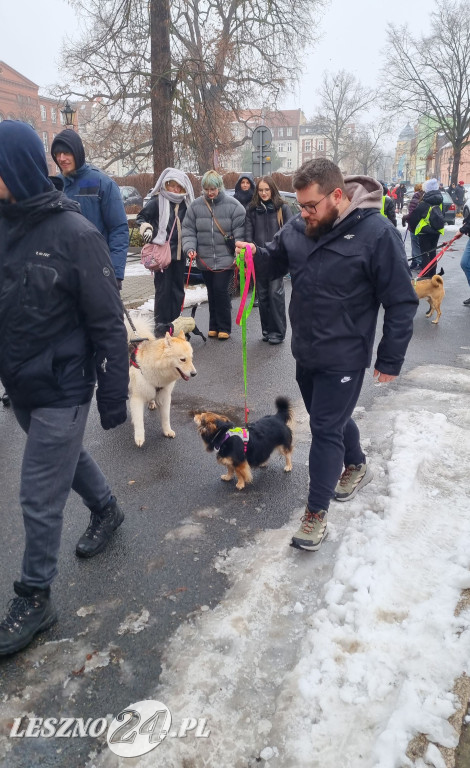 I Leszczyński Marsz Piesków