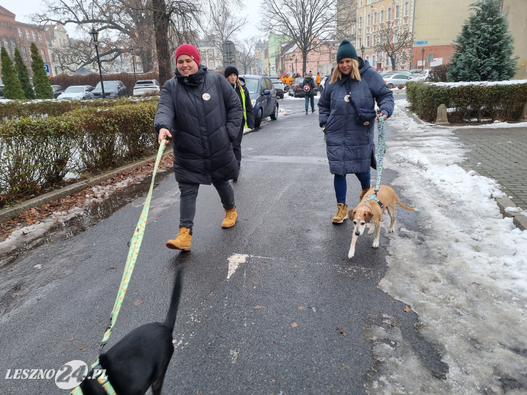 I Leszczyński Marsz Piesków