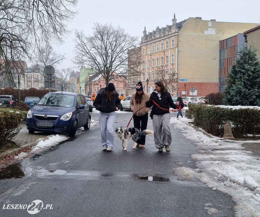 I Leszczyński Marsz Piesków