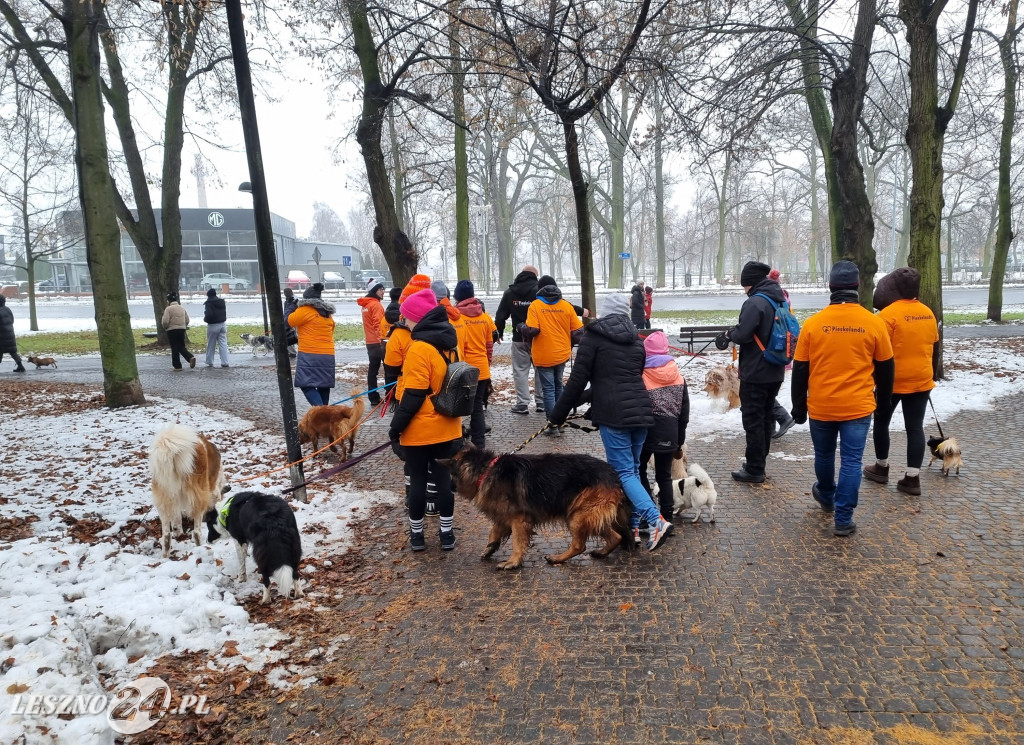 I Leszczyński Marsz Piesków