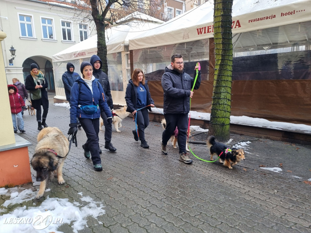 I Leszczyński Marsz Piesków