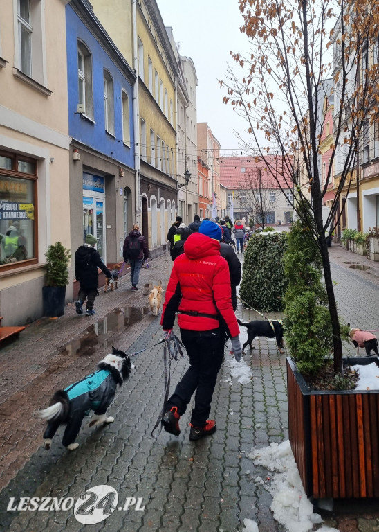 I Leszczyński Marsz Piesków