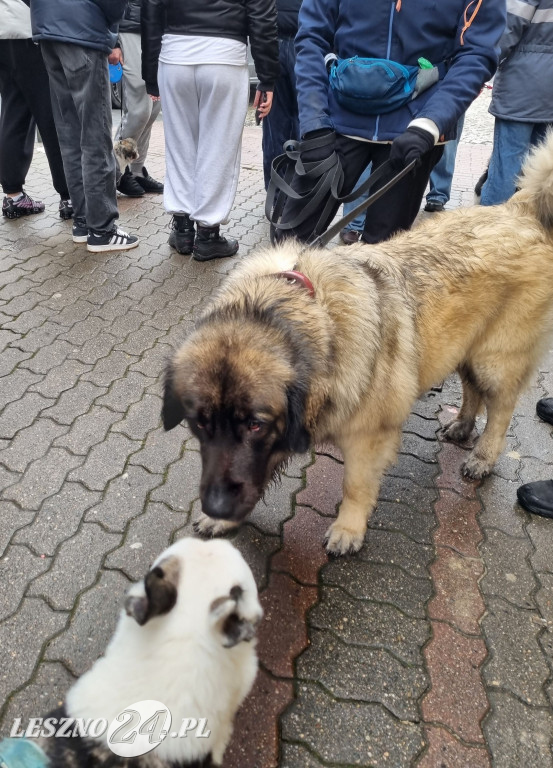 I Leszczyński Marsz Piesków